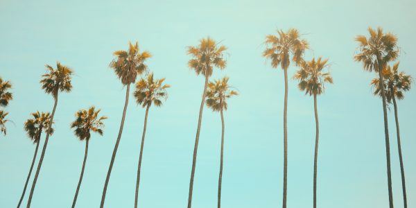 California Community Colleges #RealCollege Survey