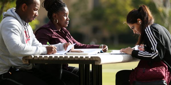 Addressing Basic Needs Security in Higher Education