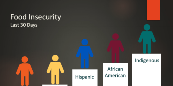 Webinar with the National Governors Association on Addressing College Students’ Basic Needs: Housing And Food Insecurity